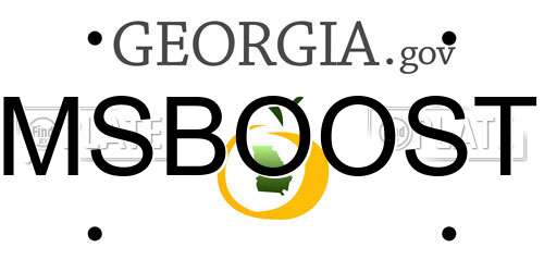 MSBOOST Georgia License Plate