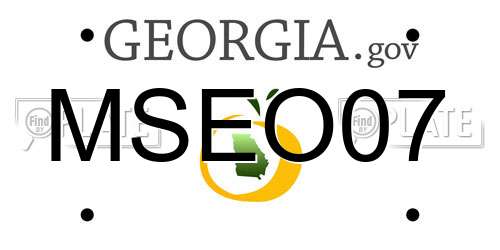 MSEO07 Georgia License Plate