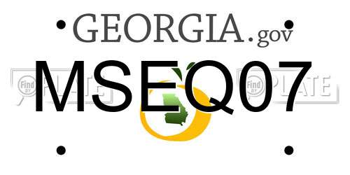 MSEQ07 Georgia License Plate