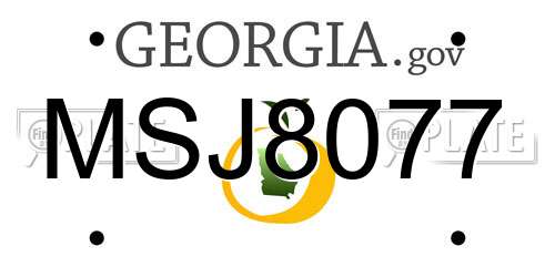 MSJ8077 Georgia License Plate