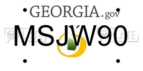 MSJW90 Georgia License Plate