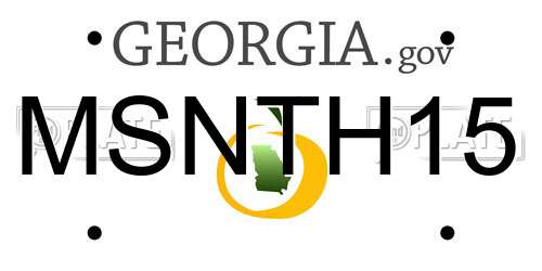 MSNTH15 Georgia License Plate