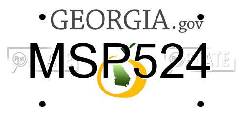 MSP524 Georgia License Plate