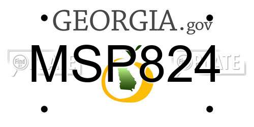 MSP824 Georgia License Plate