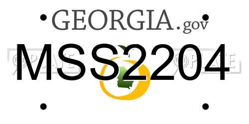 MSS2204 Georgia License Plate