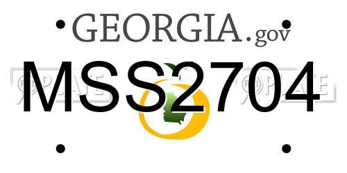 MSS2704 Georgia License Plate