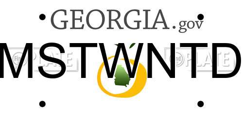 MSTWNTD Georgia License Plate