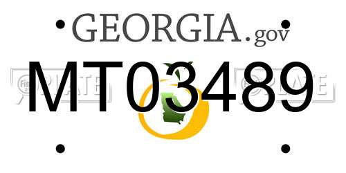MT03489 Georgia License Plate