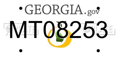 MT08253 Georgia License Plate