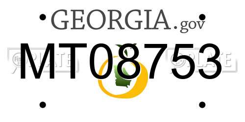 MT08753 Georgia License Plate