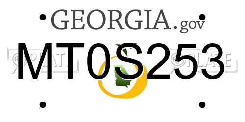 MT0S253 Georgia License Plate