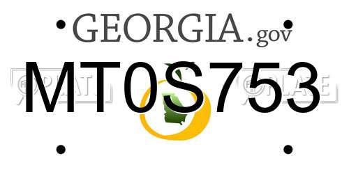 MT0S753 Georgia License Plate