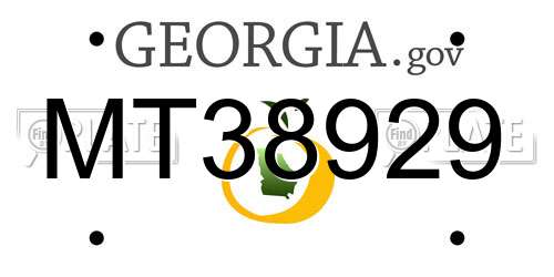 MT38929 Georgia License Plate