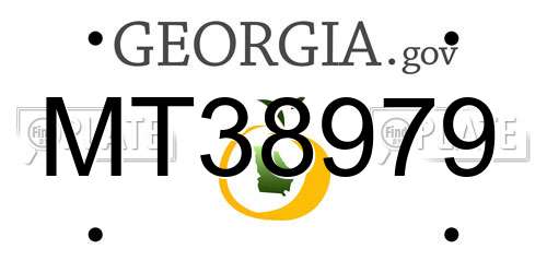 MT38979 Georgia License Plate