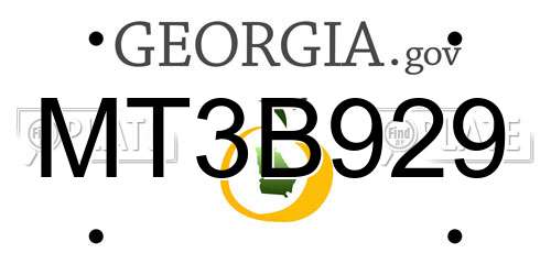 MT3B929 Georgia License Plate