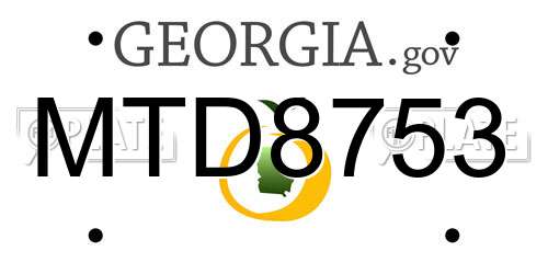 MTD8753 Georgia License Plate