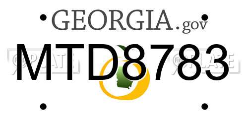 MTD8783 Georgia License Plate