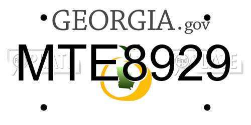 MTE8929 Georgia License Plate