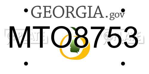 MTO8753 Georgia License Plate