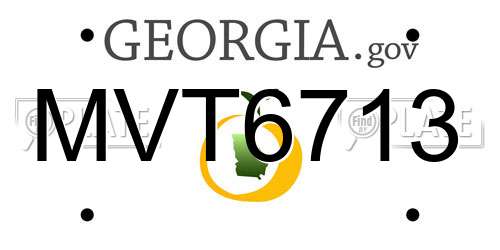 MVT6713 Georgia License Plate