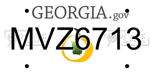 MVZ6713 Georgia License Plate