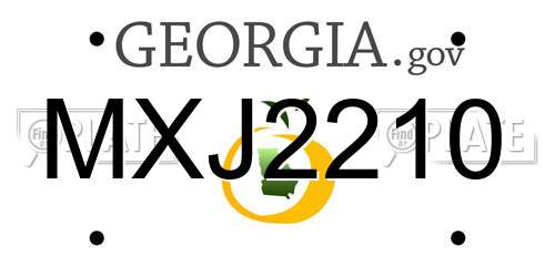 MXJ2210 Georgia License Plate