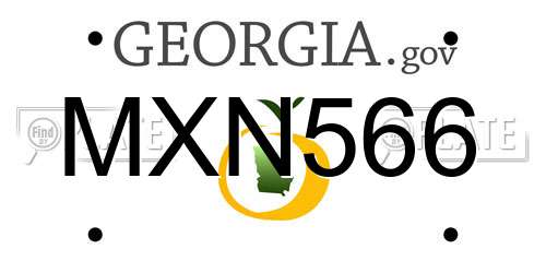 MXN566 Georgia License Plate