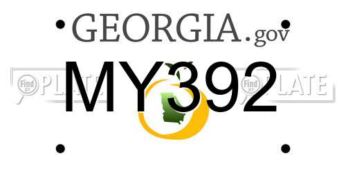 MY392 Georgia License Plate