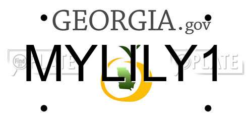 MYLILY1 Georgia License Plate