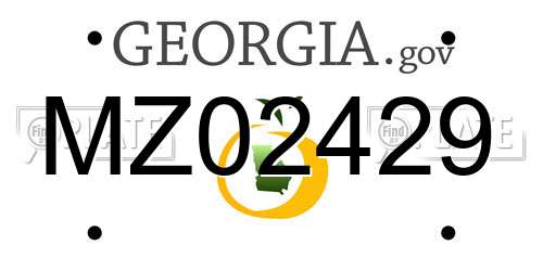 MZ02429 Georgia License Plate
