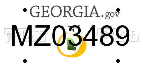 MZ03489 Georgia License Plate
