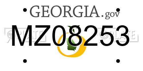 MZ08253 Georgia License Plate