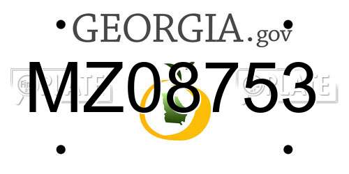 MZ08753 Georgia License Plate