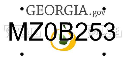 MZ0B253 Georgia License Plate