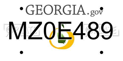 MZ0E489 Georgia License Plate