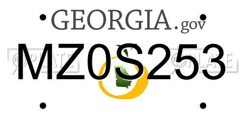 MZ0S253 Georgia License Plate
