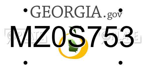 MZ0S753 Georgia License Plate