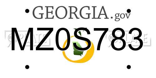 MZ0S783 Georgia License Plate