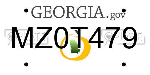 MZ0T479 Georgia License Plate