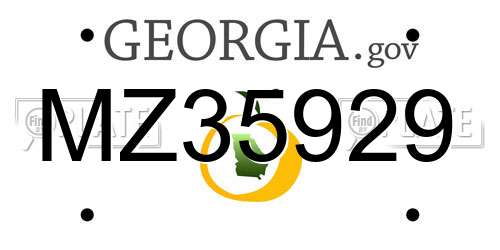 MZ35929 Georgia License Plate