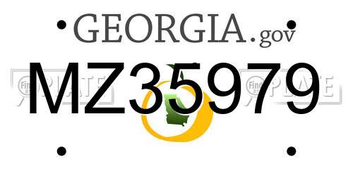 MZ35979 Georgia License Plate