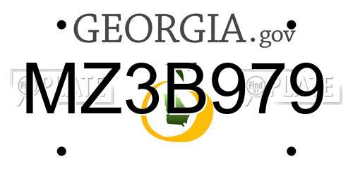 MZ3B979 Georgia License Plate