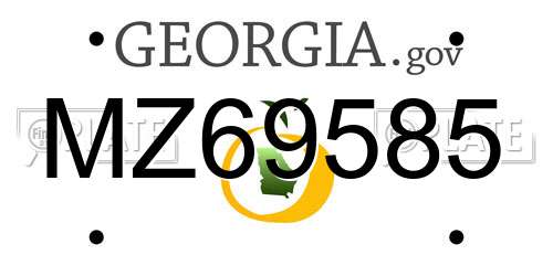 MZ69585 Georgia License Plate