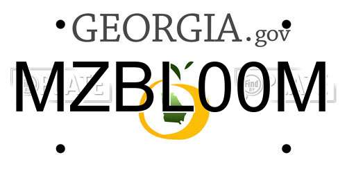 MZBL00M Georgia License Plate