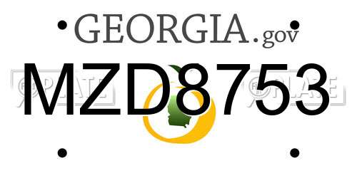 MZD8753 Georgia License Plate