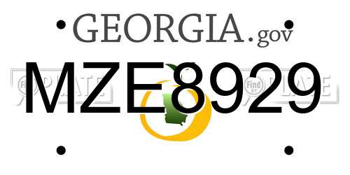 MZE8929 Georgia License Plate