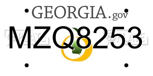 MZQ8253 Georgia License Plate
