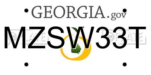 MZSW33T Georgia License Plate