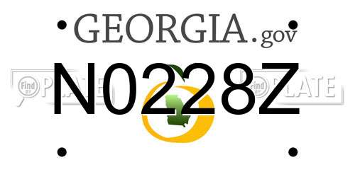 N0228Z Georgia License Plate