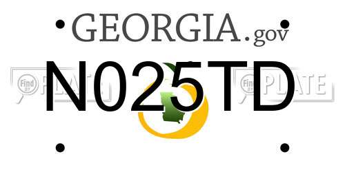 N025TD Georgia License Plate
